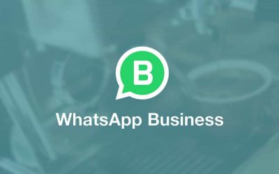 WhatsApp Business gelanceerd in Nederland